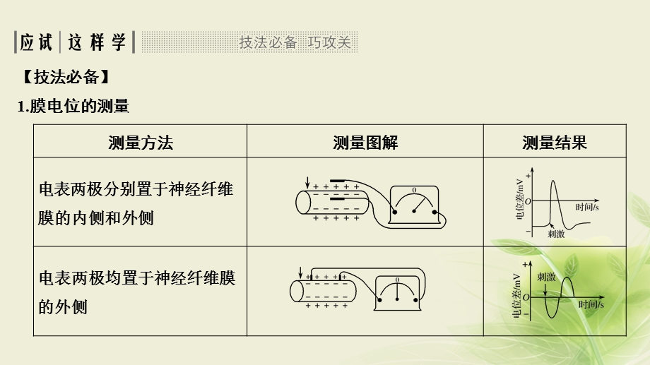 最新：高考生物一轮复习考点加强课4神经生理的研究方法及相关题型分析课件文档资料.ppt_第3页