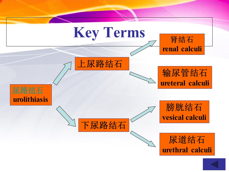 第三十七章尿石症病人的护理文档资料.ppt_第1页