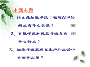 最新：53ATP的主要来源——细胞呼吸精选文档文档资料.ppt