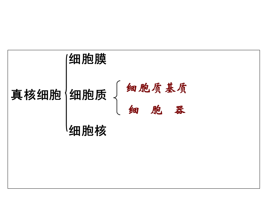 人教版教学课件细胞器系统的分工合作PPT文档.ppt_第1页