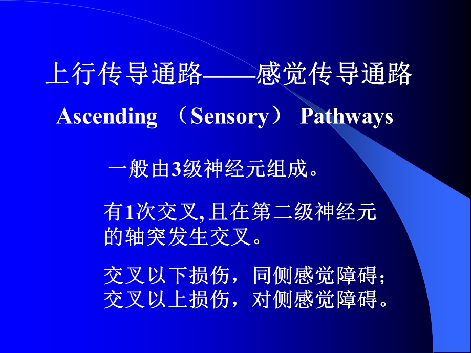 最新：临床专业传导通路文档资料.ppt_第2页