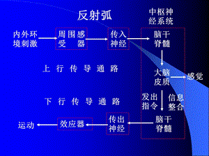 最新：临床专业传导通路文档资料.ppt