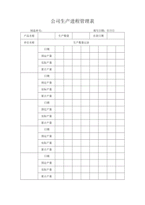 公司生产进程管理表.docx