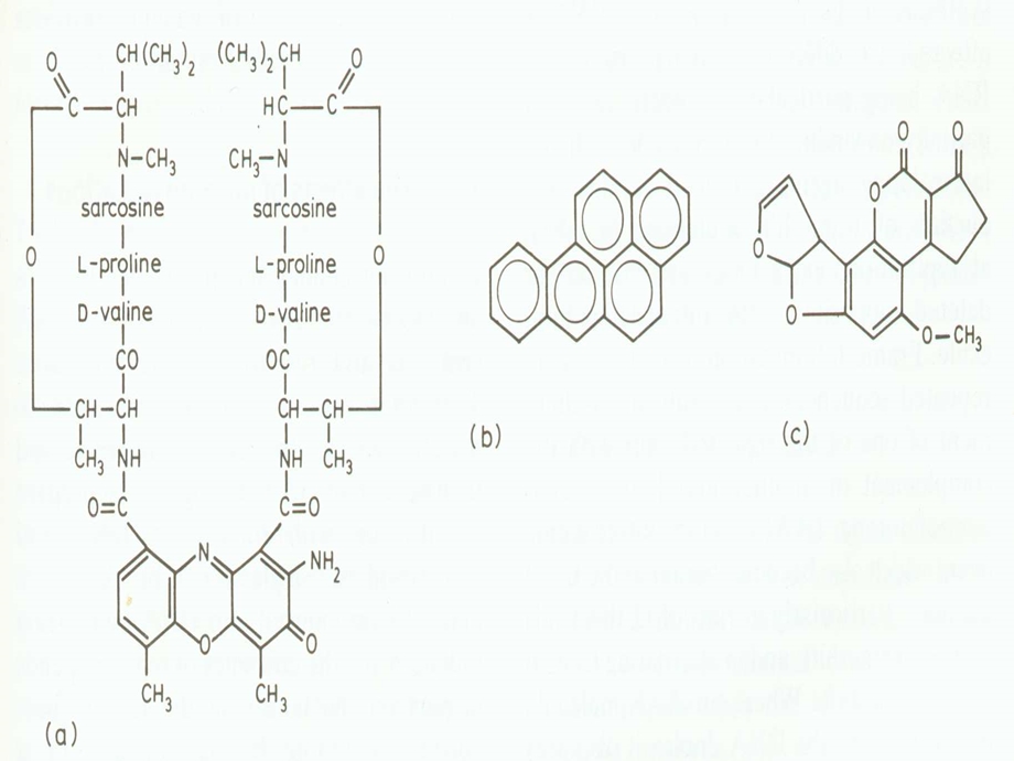 最新：浙江大学生物化学与分子生物学笔记dna损伤修复文档资料.ppt_第3页