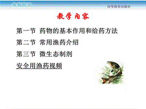 最新：鱼病防治的常用药物文档资料.ppt