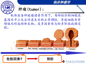 最新肿瘤发生危险因素和三级预防9PPT文档.ppt