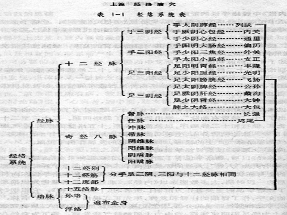 最新：护理常用腧穴文档资料.ppt_第3页