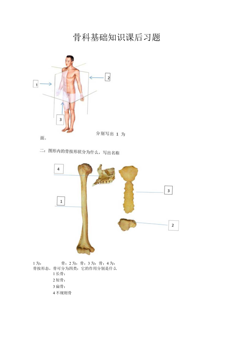 骨科基础知识课后习题.docx_第1页