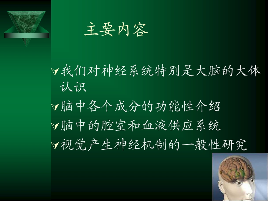 大脑解剖结构1文档资料.ppt_第1页