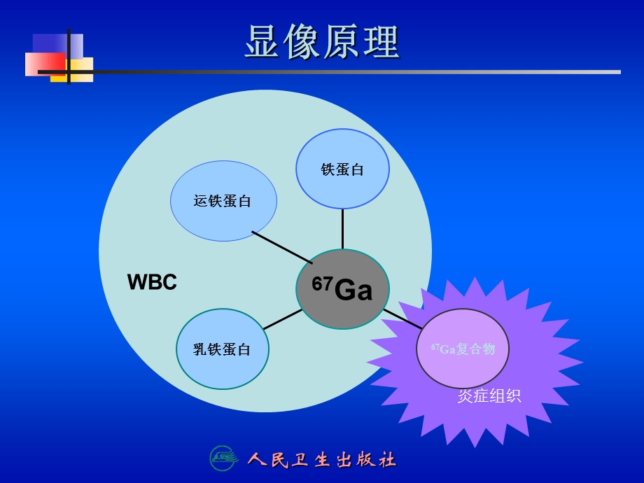 最新第十三章炎症显像PPT文档.ppt_第3页