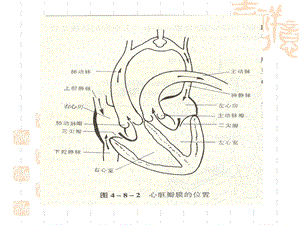 心脏检查 ppt课件文档资料.ppt