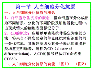 最新第七章白细胞分化抗原和粘朌分子PPT文档.ppt