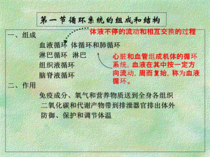 人体解剖生理学第六章循环系统的结构和功能PPT课件.ppt