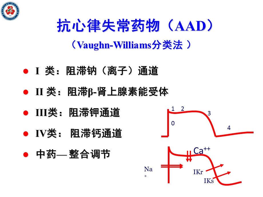 抗律调律 心律失常药物治疗新策略 05精选文档.ppt_第1页