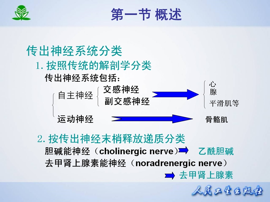 第05章传出神经系统药理概论文档资料.ppt_第3页