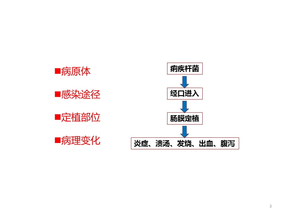 抗感染药(简约版)PPT文档.pptx_第3页