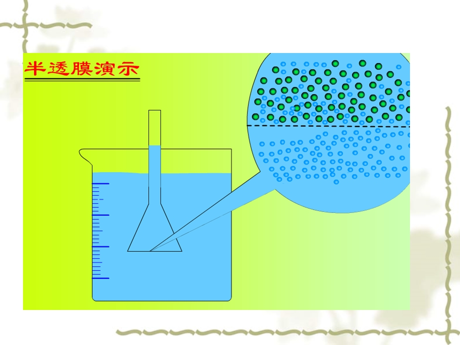 最新高一生物细胞的物质输入与输出1PPT文档.ppt_第3页