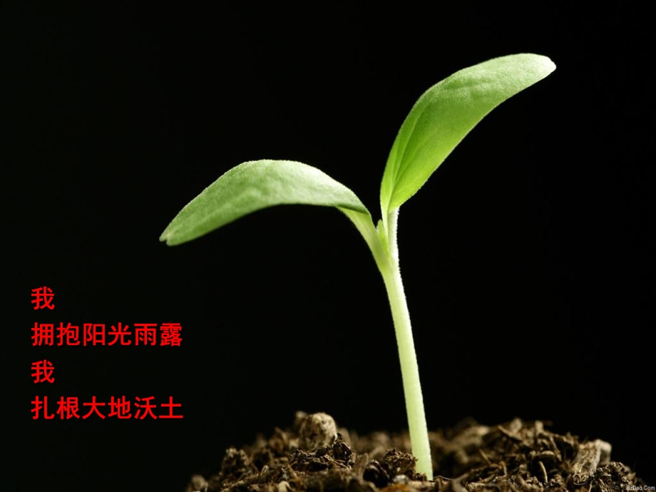 11绪论植物细胞结构.ppt_第2页