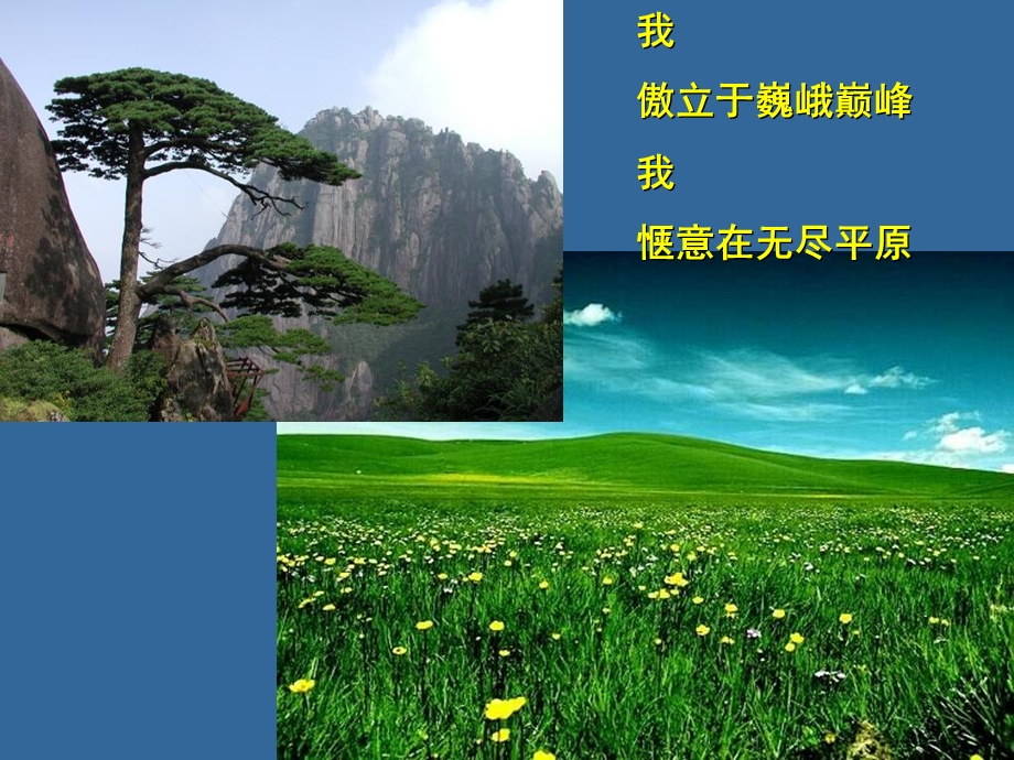 11绪论植物细胞结构.ppt_第3页