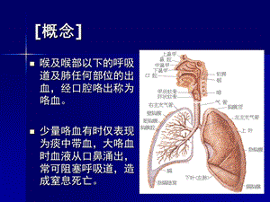 最新：检体诊断学咯血文档资料.ppt