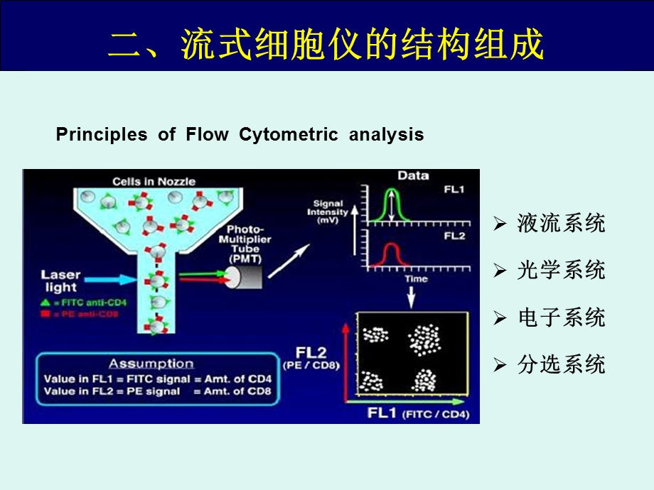 七流式细胞仪PPT文档资料.ppt_第3页