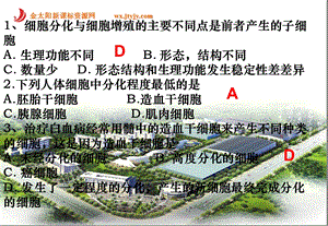 生物：6.2细胞的分化课件(新人教版必修1)PPT文档.ppt