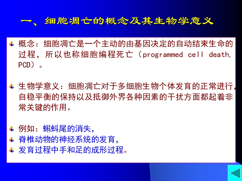 第13章细胞衰老与凋亡文档资料.ppt_第3页