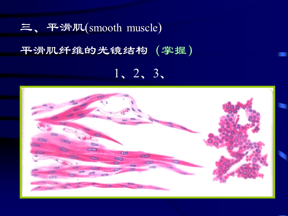 4肌肉2神经高护PPT文档资料.ppt_第3页