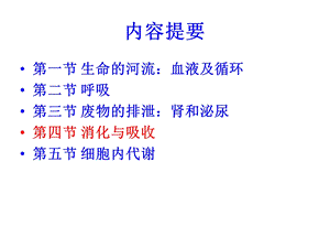 445机体的代谢消化系统细胞代谢PPT文档资料.ppt