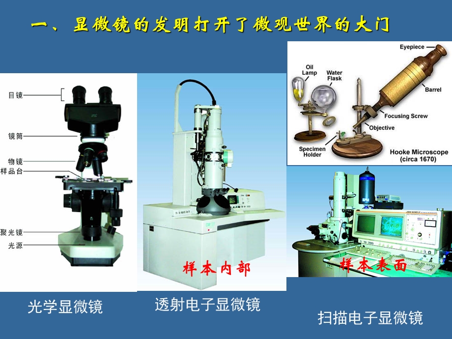 最新：普通生物学细胞结构与通讯文档资料.ppt_第1页