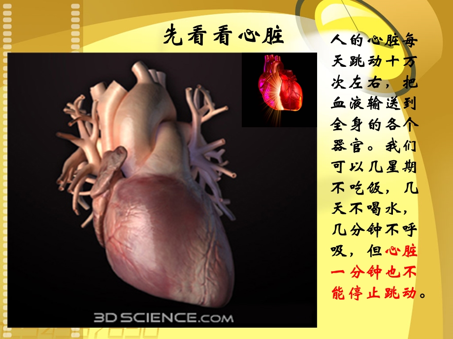 PCI技术围手术期抗血小板治疗精选文档.ppt_第2页