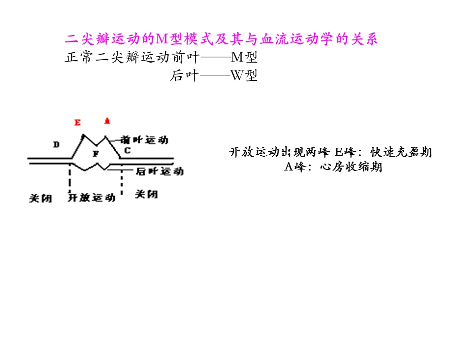 最新二尖瓣疾病的超声诊断PPT文档.ppt_第2页