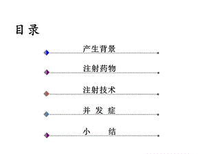 中国糖尿病药物注射技术指南解读PPT文档资料.ppt