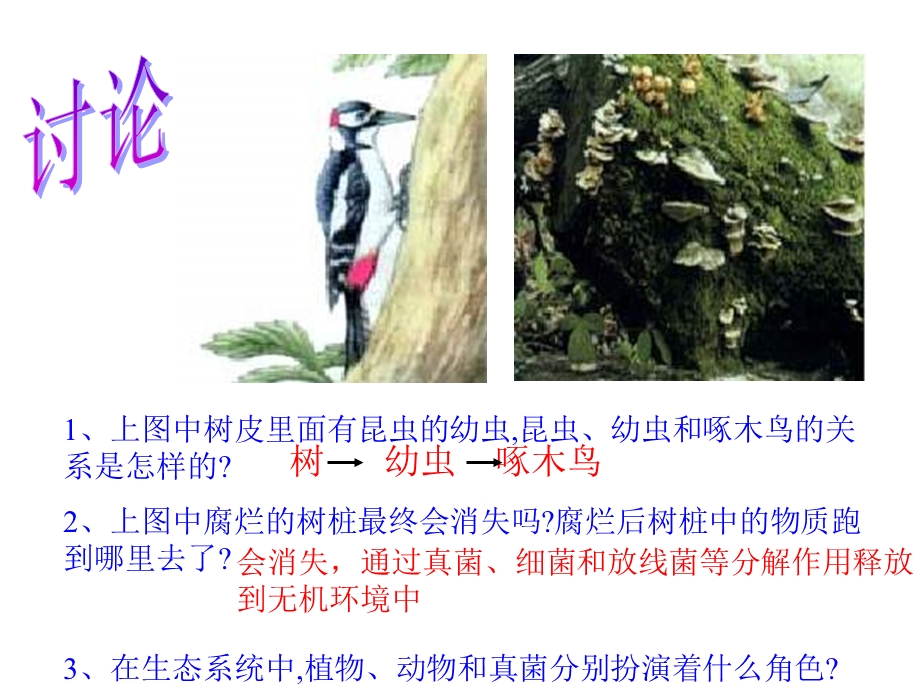 第二节生物与环境组成的生态系统名师编辑PPT课件.ppt_第3页