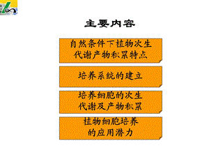 植物细胞工程课件第六章植物细胞次生产物生产PPT文档.ppt