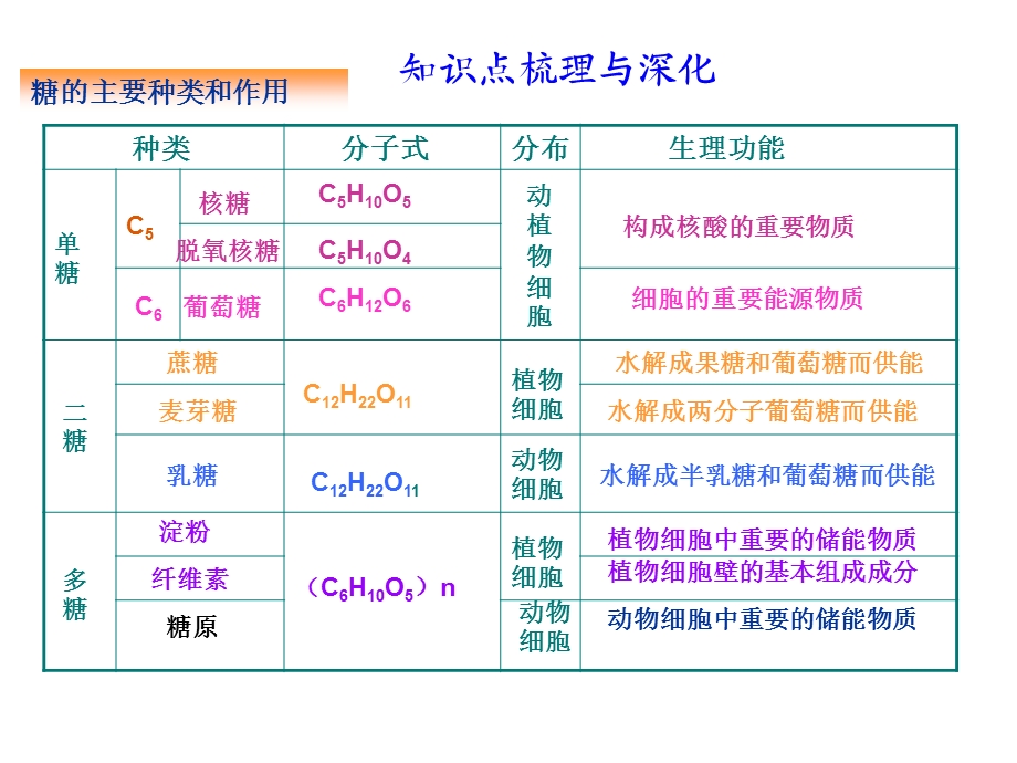 最新：专题一细胞的分子与组成(糖蛋白质脂肪,细胞膜)文档资料.ppt_第2页