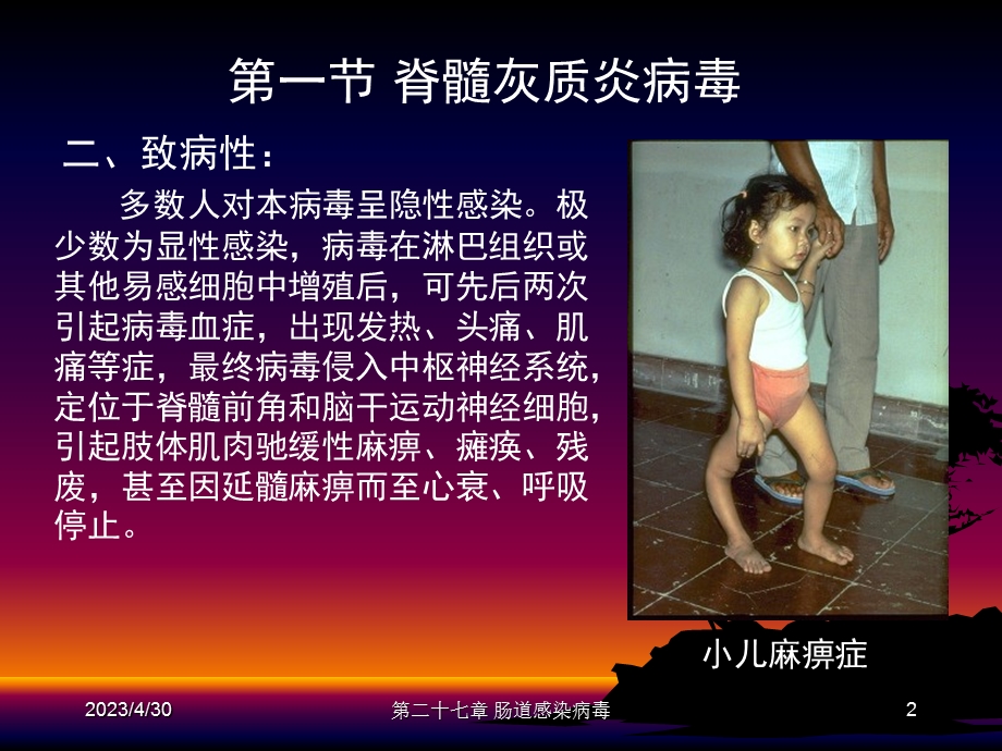 最新第二十七章肠道感染病毒PPT文档.ppt_第2页