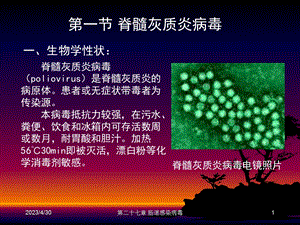 最新第二十七章肠道感染病毒PPT文档.ppt