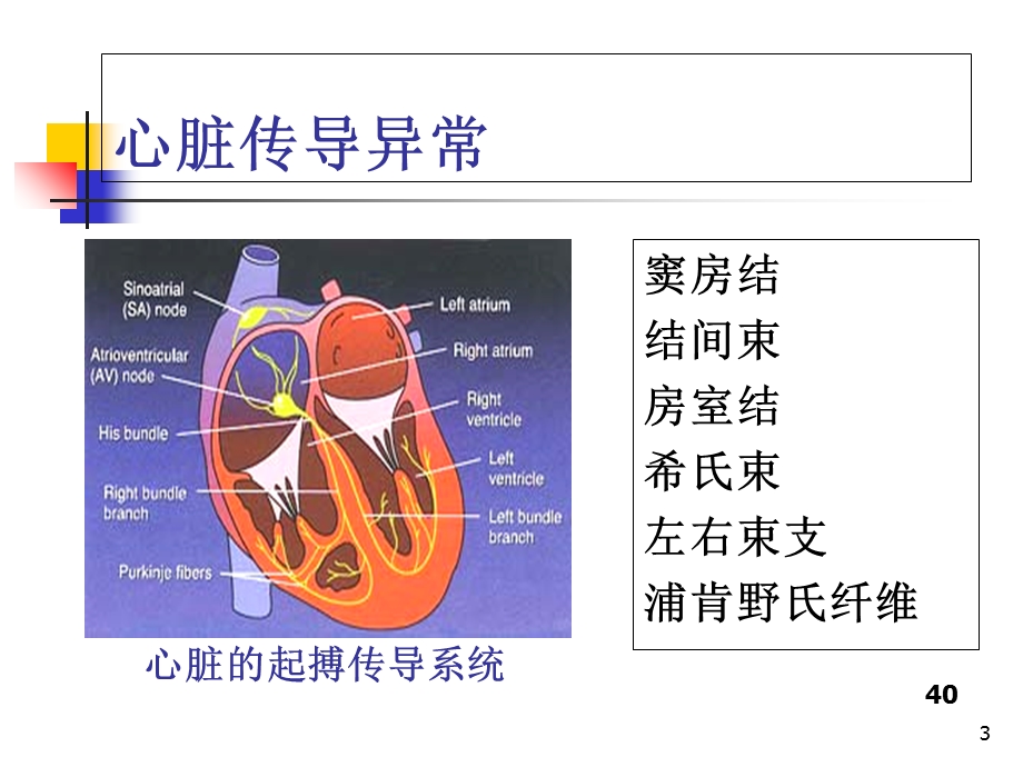 最新：心电图心失常课件文档资料.ppt_第3页