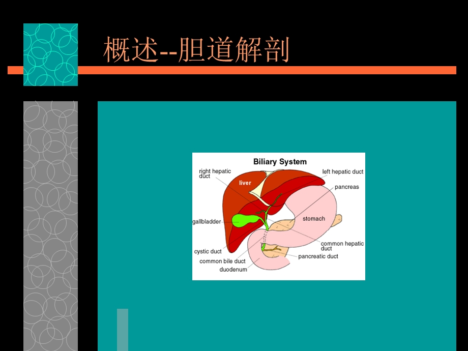 最新：胆道疾病 ppt课件文档资料.ppt_第1页