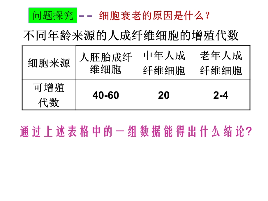 细胞衰老与凋亡精选文档.ppt_第3页