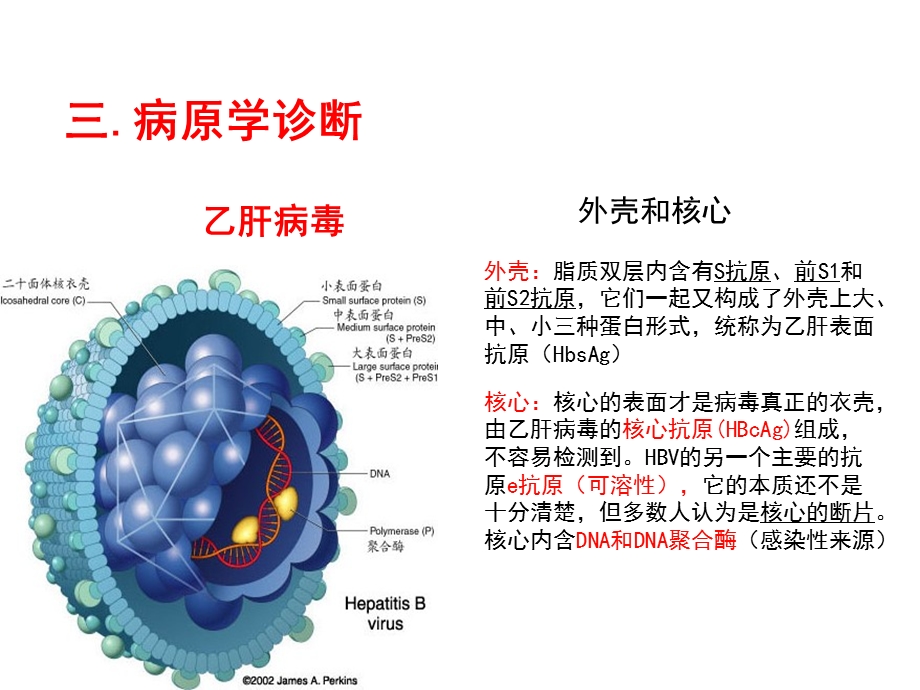 最新深圳大学理科选修人类传染病灾难与对策课件第八讲乙肝2PPT文档.pptx_第1页