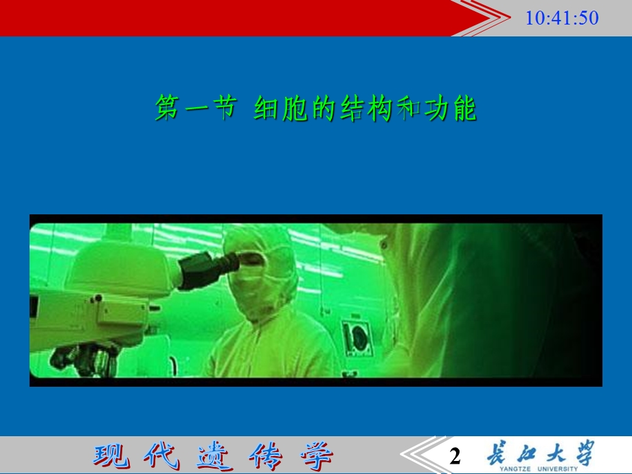 2遗传的细胞学基础101PPT文档资料.ppt_第2页