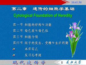 2遗传的细胞学基础101PPT文档资料.ppt