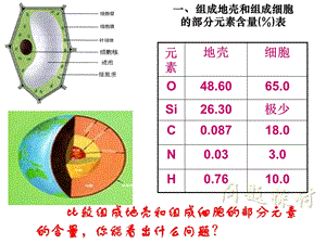 最新：1.2.1细胞中的元素和化合物文档资料文档资料.ppt