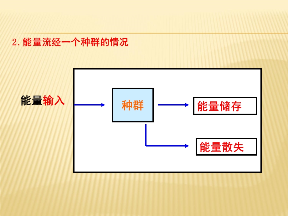 高二生物必修3同步课件：生态系统的能量流动共18张PPT(共18张PPT).ppt_第3页