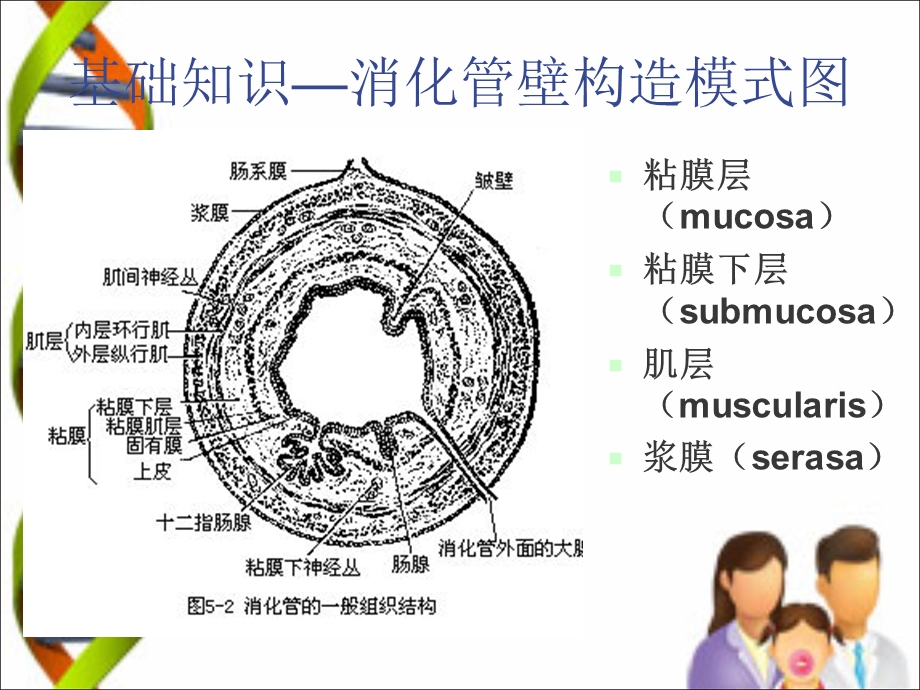 最新esd和ese术护理PPT文档.ppt_第2页