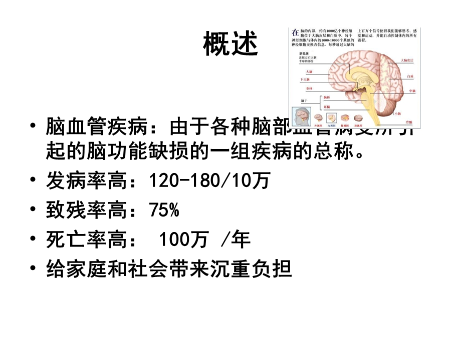 最新脑血管疾病的营养PPT文档.ppt_第1页