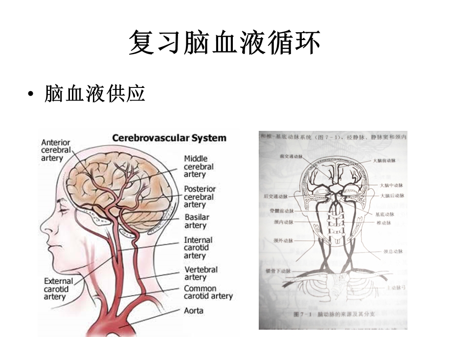 最新脑血管疾病的营养PPT文档.ppt_第3页