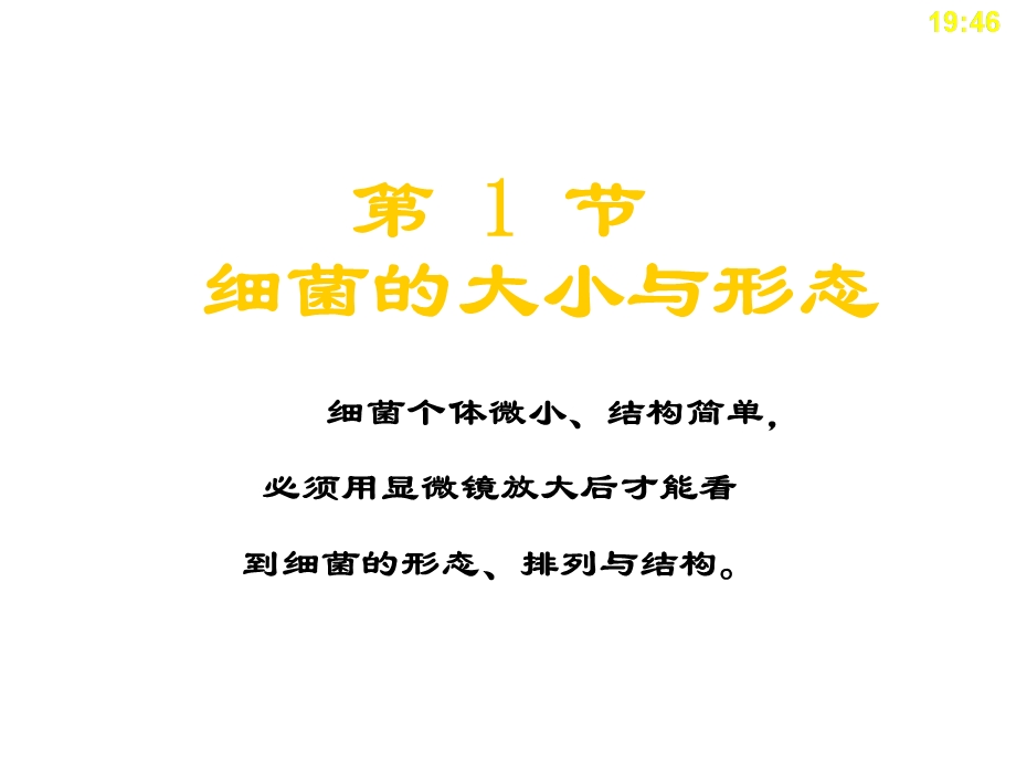 第1章细菌的形态与结构文档资料.ppt_第2页